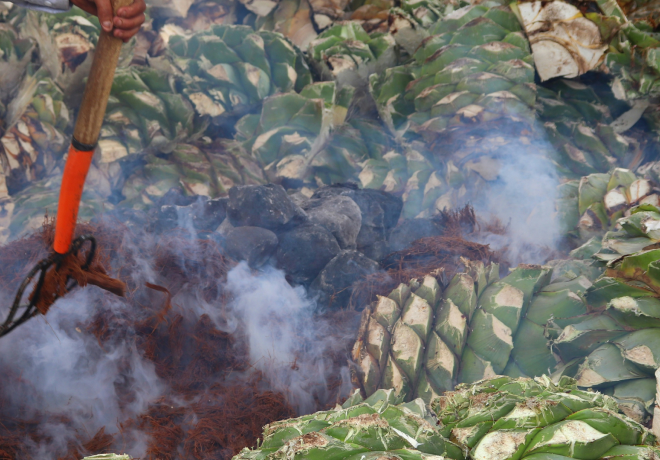 Smoke, Soul, and Oaxaca: Why Mezcal Hits Different
