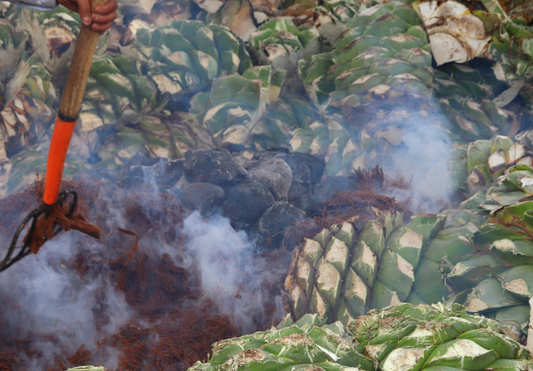 Smoke, Soul, and Oaxaca: Why Mezcal Hits Different