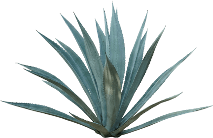 Ingredients Image
